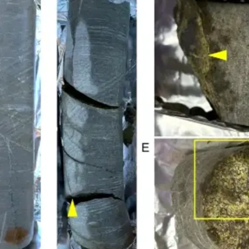 A 2 billion-year-old stone containing the oldest samples of living microbes has been discovered in Africa (photo)