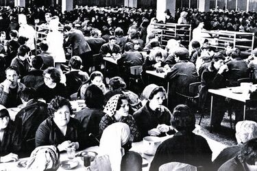 Советские предрассудки о питании, которые живут до сих пор