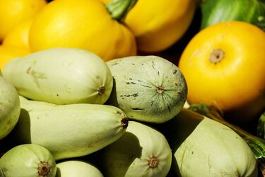 Як зберегти кабачки свіжими до весни: простий лайфхак