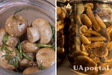 Пальчики оближете: рецепт маринованных грибов на зиму