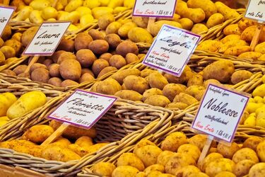 В Україні прогнозується значне здорожчання картоплі: експерт назвав причини та очікувану ціну