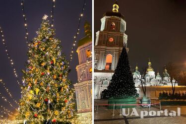 Главная елка Киева: когда установят зимнюю красавицу