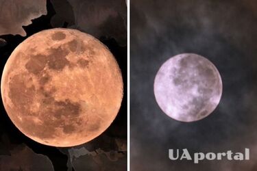 Последний супермесяц года – Бобровый: когда можно будет наблюдать