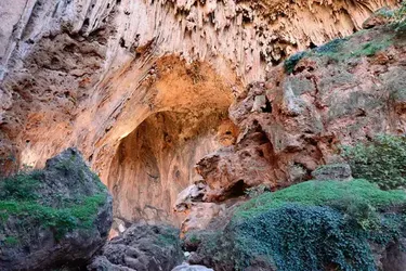 Вчені знайшли докази використання лікарських трав у Марокко 15 тисяч років тому: розкрили секрети давніх медичних практик