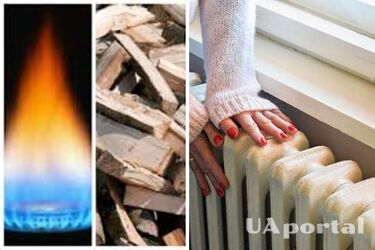 Газ или дрова: какой вид отопления выгоднее и дешевле