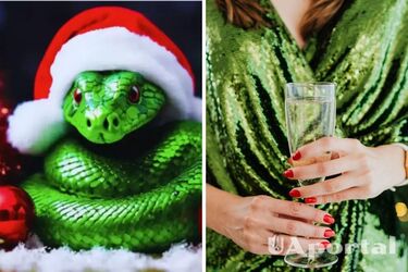 В чем категорически нельзя встречать год Змеи