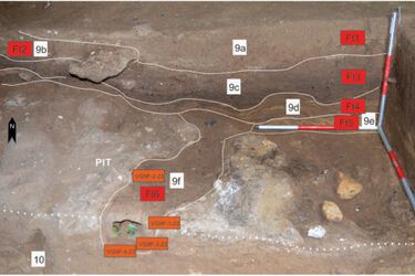 У Британії виявили печеру неандертальців з піччю для виготовлення клею віком 60 тисяч років