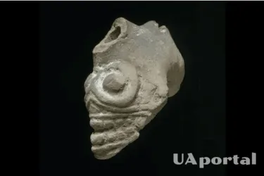 Меняли работу человеческого мозга: ученые изучили уникальные свитки смерти ацтеков