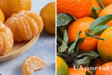 Как правильно выбрать спелые и вкусные мандарины: 4 секрета