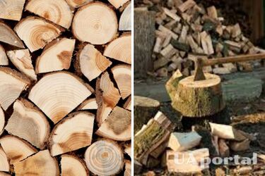 Штраф або в‘язниця: як можуть покарати за зберігання дров