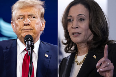 Стратегические ошибки демократов, которые стоили им поражения на выборах