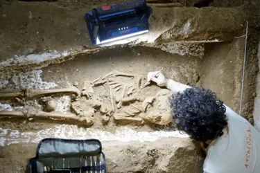 У Франції чоловік виявив у своєму підвалі саркофаги та десятки скелетів