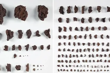 У Німеччині знайшли унікальну римську кольчугу: пролила світло на мистецтво ремонту обладунків