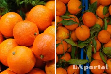 Як сорти мандаринів найсолодші та як їх розпізнати