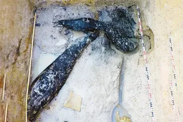 Найдавніша знахідка з дерева: споруда віком 476 тисяч років перевертає історію людства