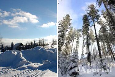 Майже весна: синоптики дали прогноз погоди на січень
