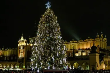 Де знаходиться найкрасивіша новорічна ялинка 2024 в світі та як вона виглядає (фото)