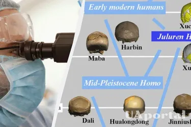 В Азії знайшли невідомий вид людини: науковці називають це проривом у розумінні еволюції людини