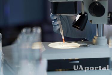 Китайські вчені вигадали революційний гідрогель для захисту артефактів з дерева