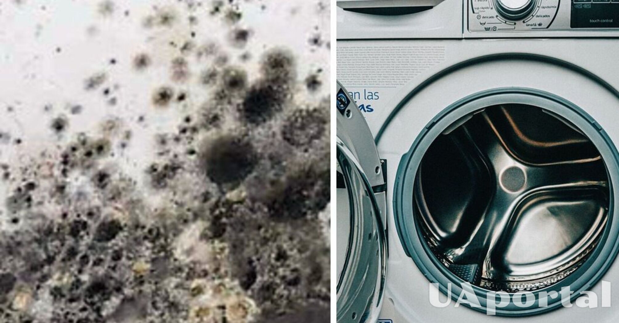 An affordable product to help get rid of mold in your washing machine