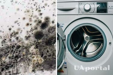 An affordable product to help get rid of mold in your washing machine