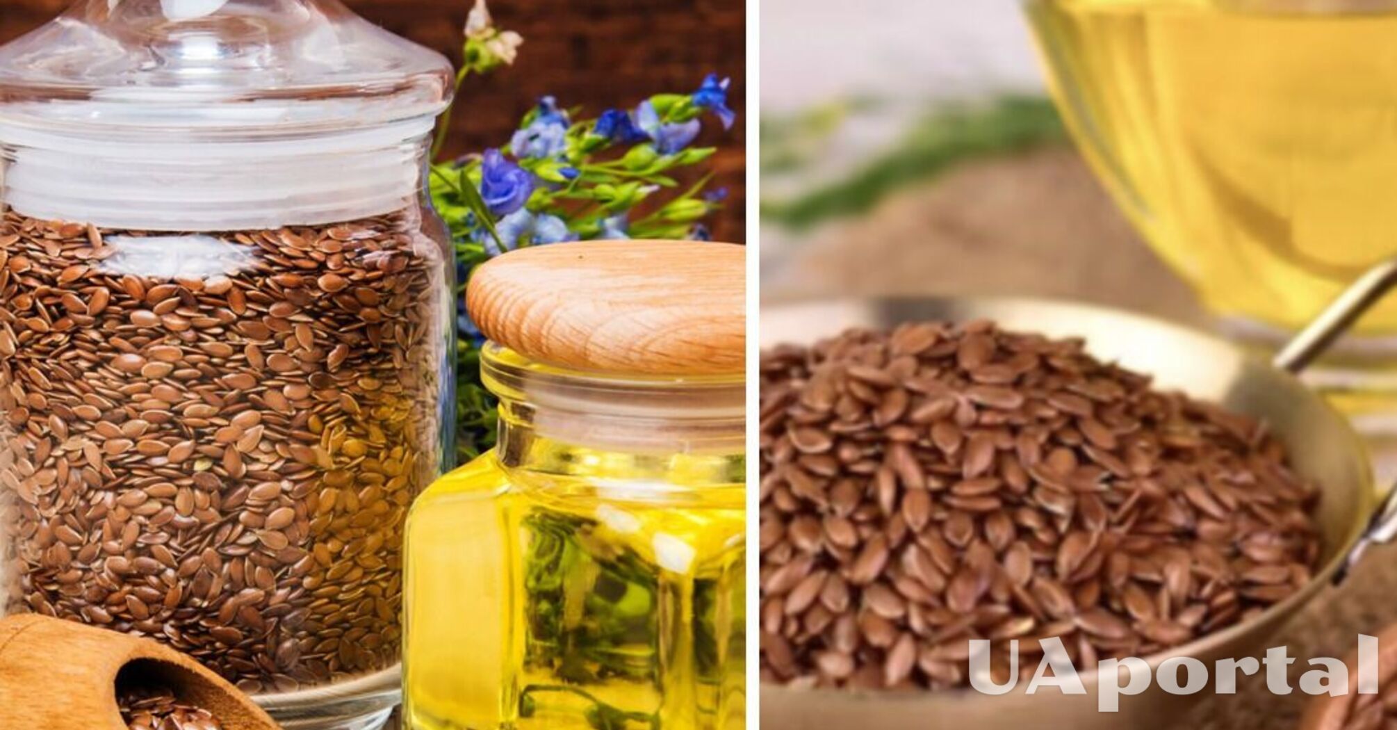 Preventing bone fragility and cancer: why older people should regularly consume flaxseed oil