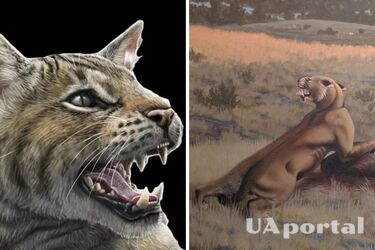 Археологи у Мадриді знайшли кістку, якій 15 млн років: належала раніше невідомому виду тварин (фото)