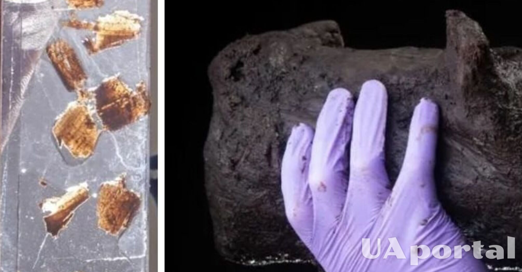 In England, archaeologists have discovered a prehistoric 'time capsule' (photo)