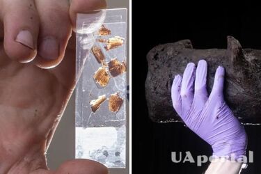 In England, archaeologists have discovered a prehistoric 'time capsule' (photo)