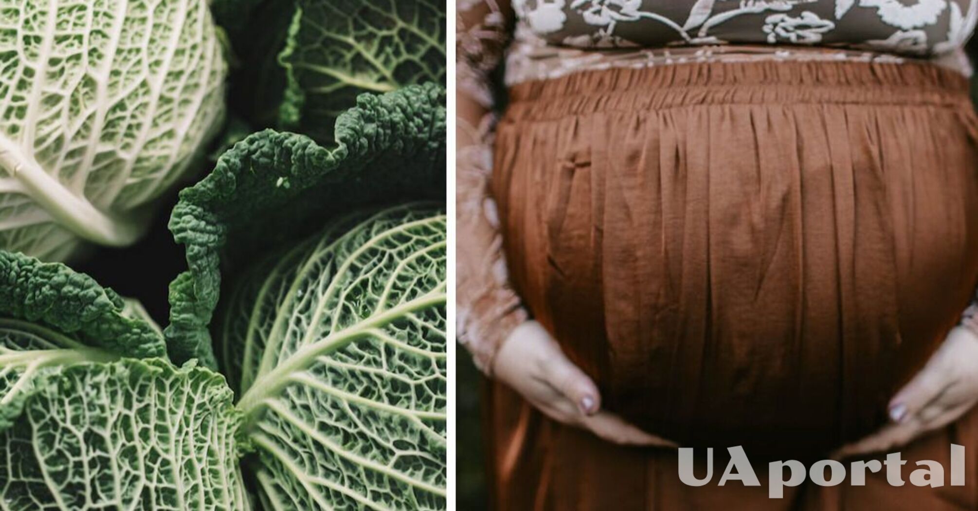 What to do when cabbage makes your stomach deflate: medical and folk methods