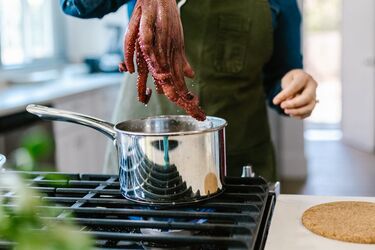 Octopus escaped from the pot while cooking: video of the rescue