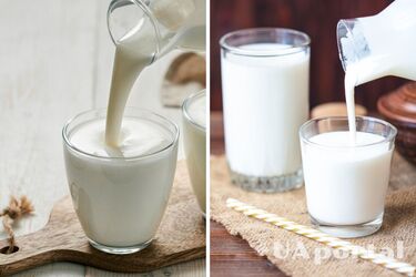 Лечит нервы, желудок и кишечник и продается в каждом магазине: какой продукт нужно регулярно употреблять для улучшения здоровья