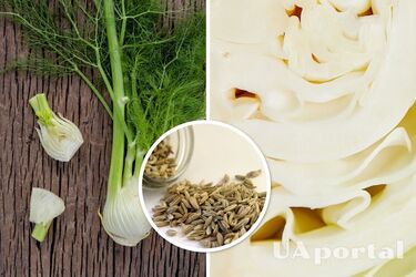 Салат из капусты, от которого никогда не будет сдуваться живот: в чем его особенность