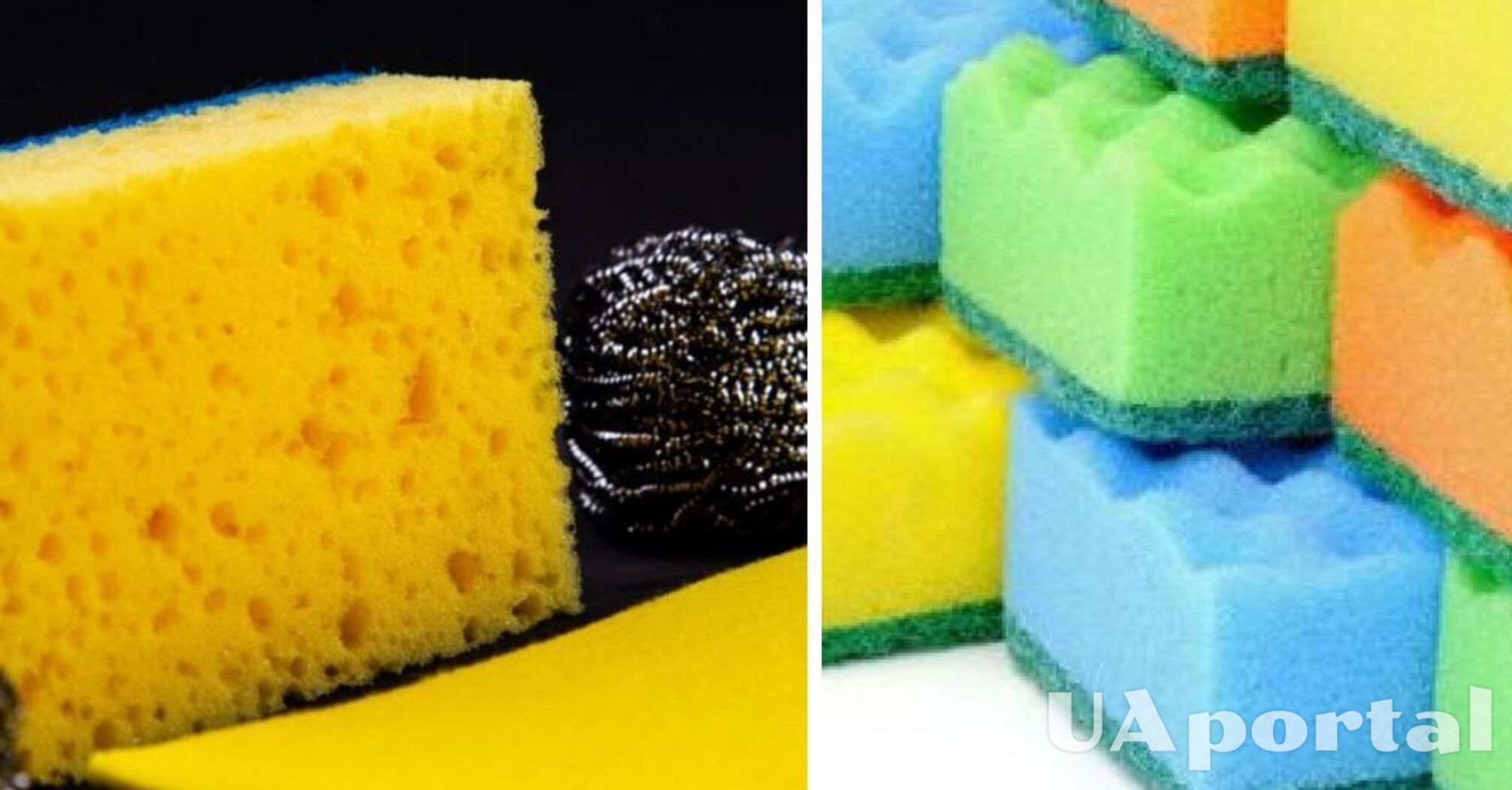 How to clean a kitchen sponge from grease: an effective lifehack