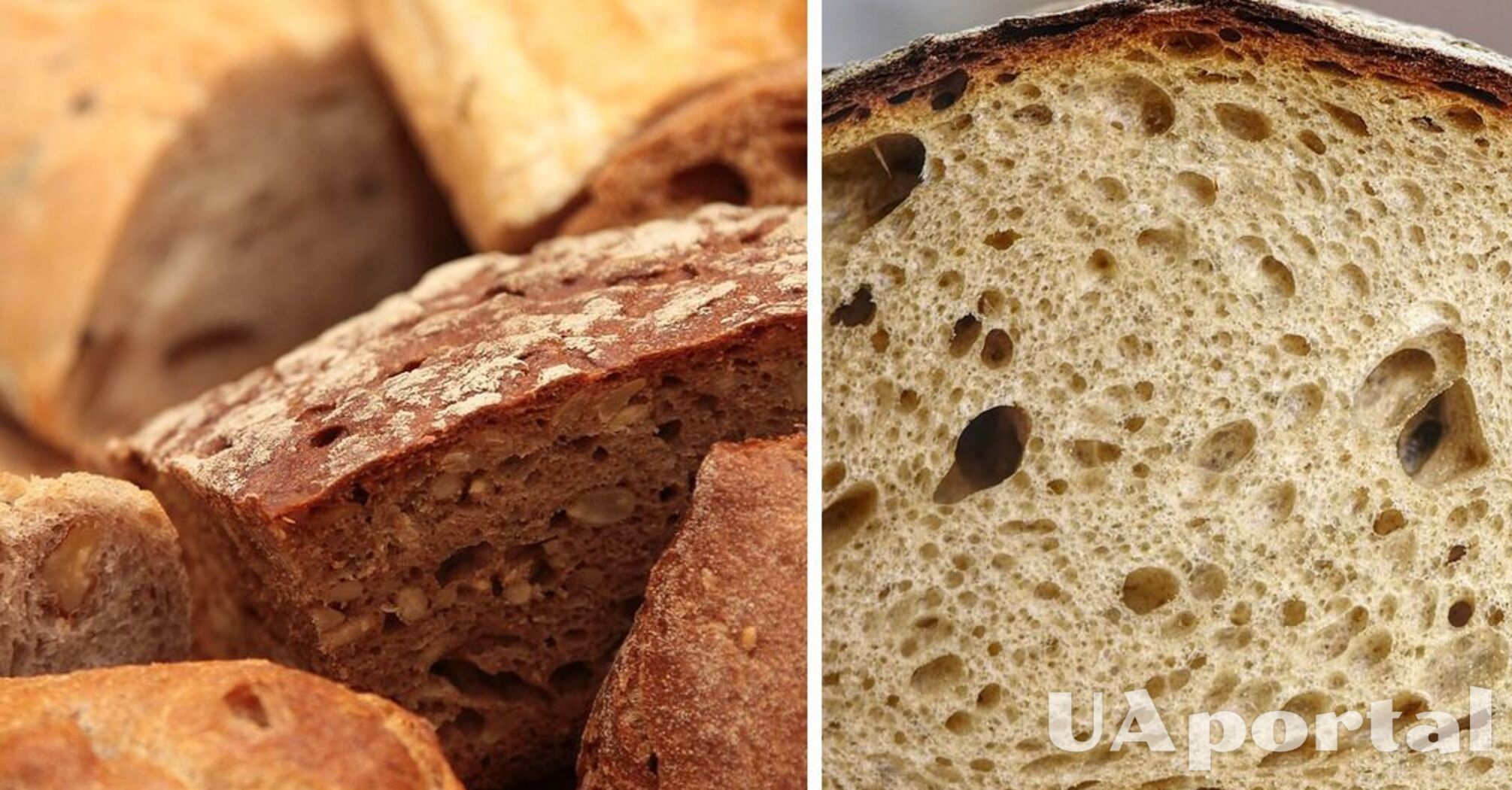 Фахівці пояснили, як зберігати хліб, щоб він не пліснявів