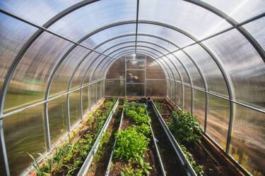 Качества теплиц из поликарбоната