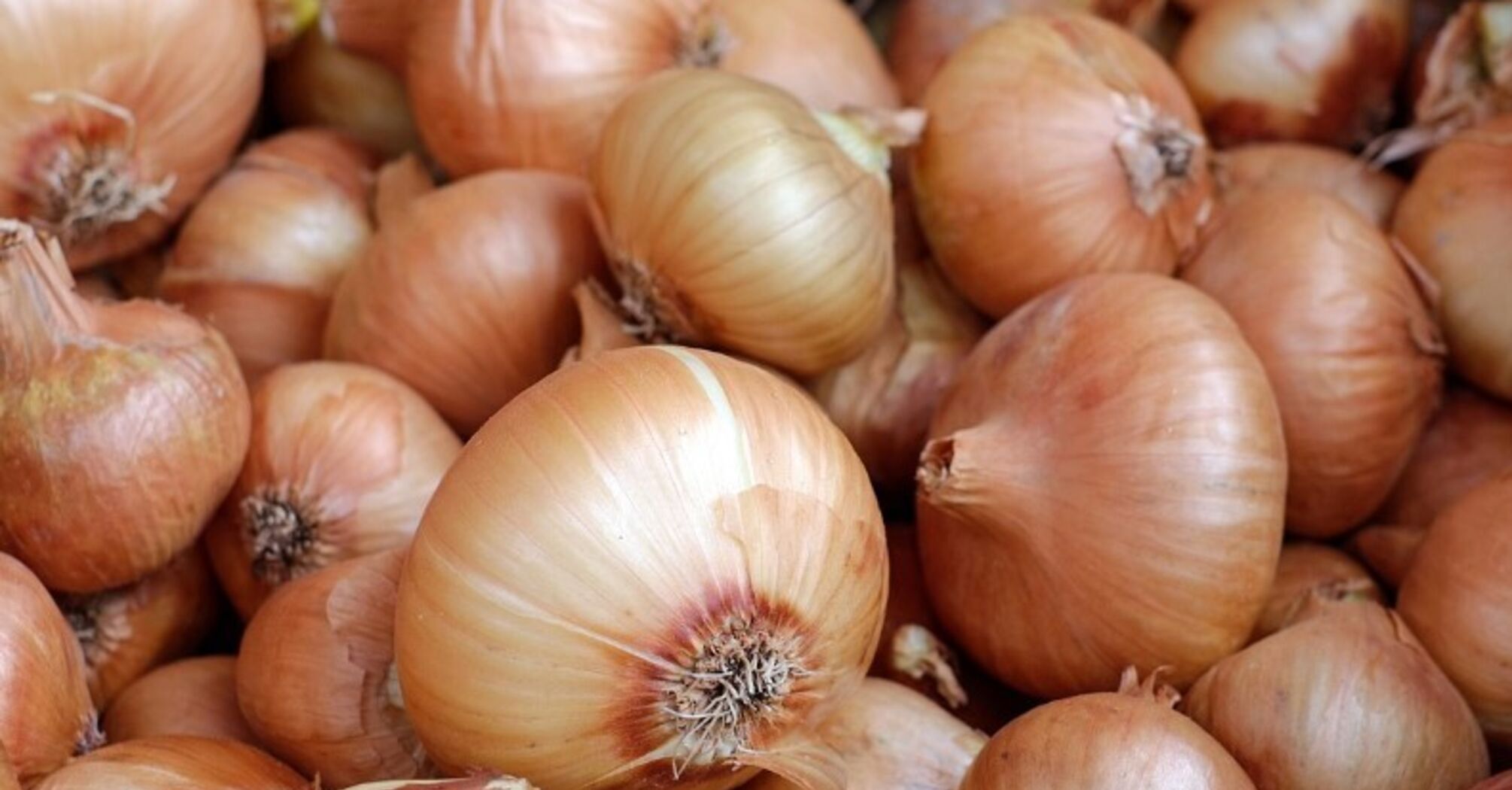 Jak usunąć gorycz cebuli: Jamie Oliver zdradza sekret