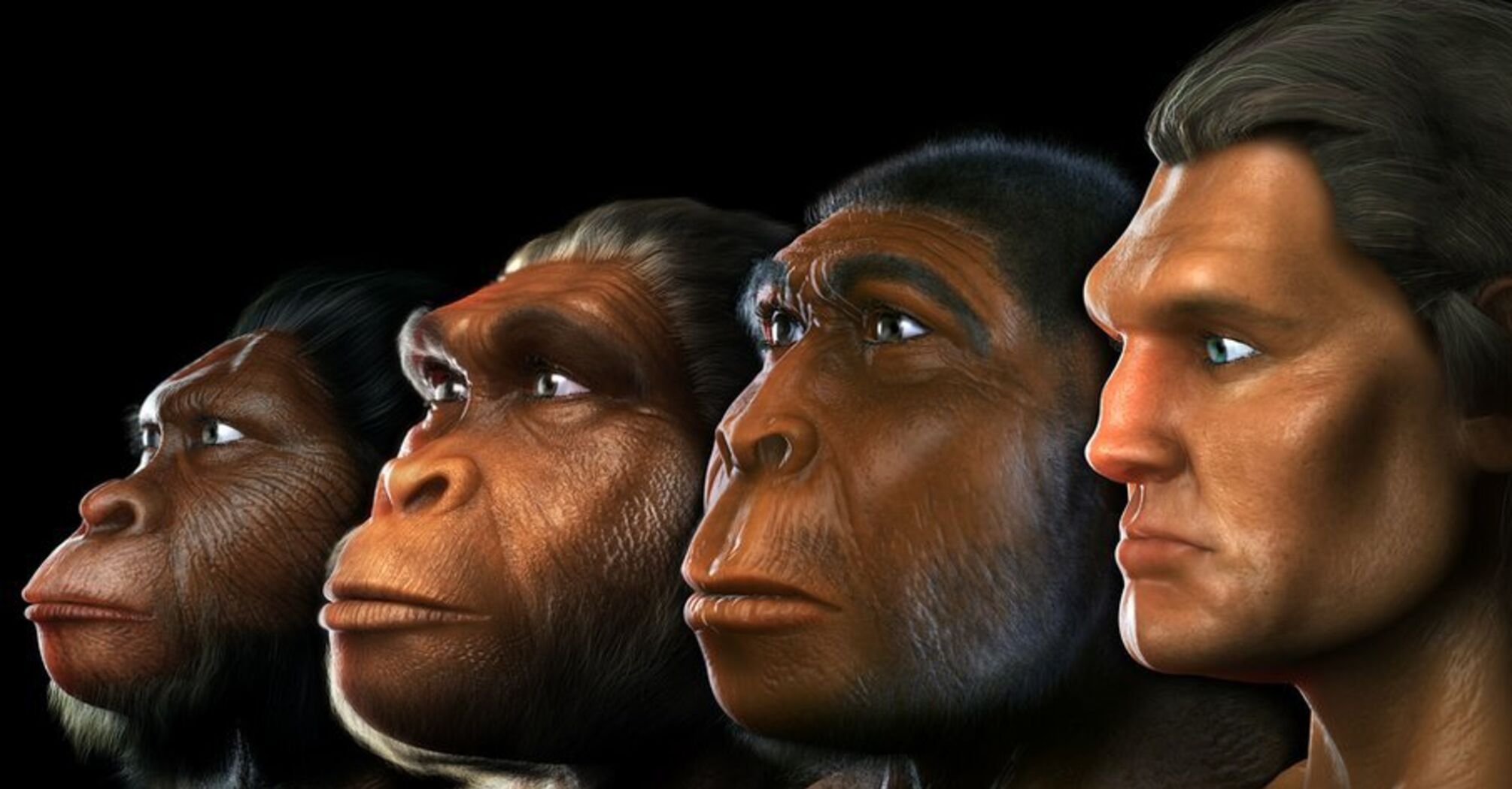 Чим сучасні люди відрізняються від перших homo sapiens
