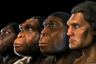 Чем современные люди отличаются от первых homo sapiens