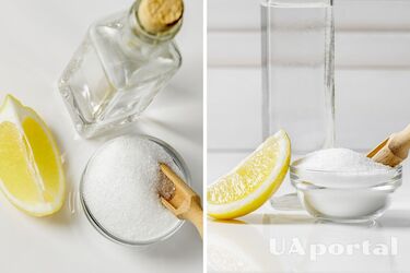 Покращить якість ґрунту та позитивно вплине на врожай: як використовуати лимонну кислоту на городі та в саду