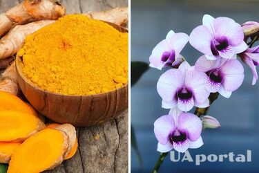 Полейте этим раствором ваши растения и соседи не перестанут завидовать