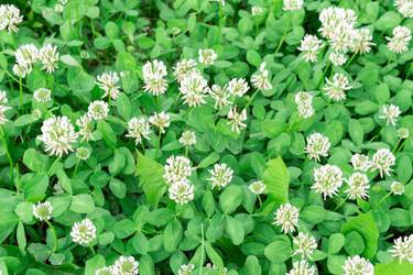 Изучение преимуществ и недостатков