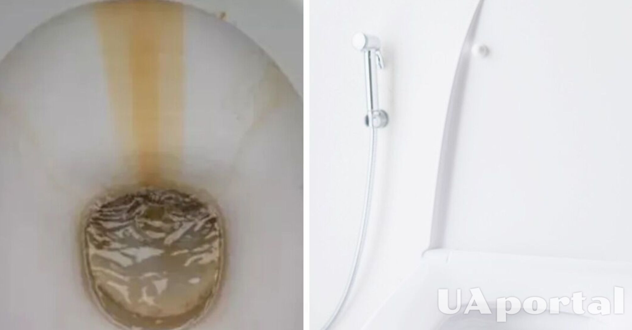 Experts talked about a cheap solution for removing plaque from the toilet bowl
