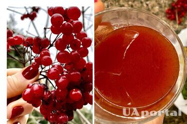 Super viburnum berry: to be consumed daily, but never cooked
