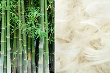 Раскрытие преимуществ