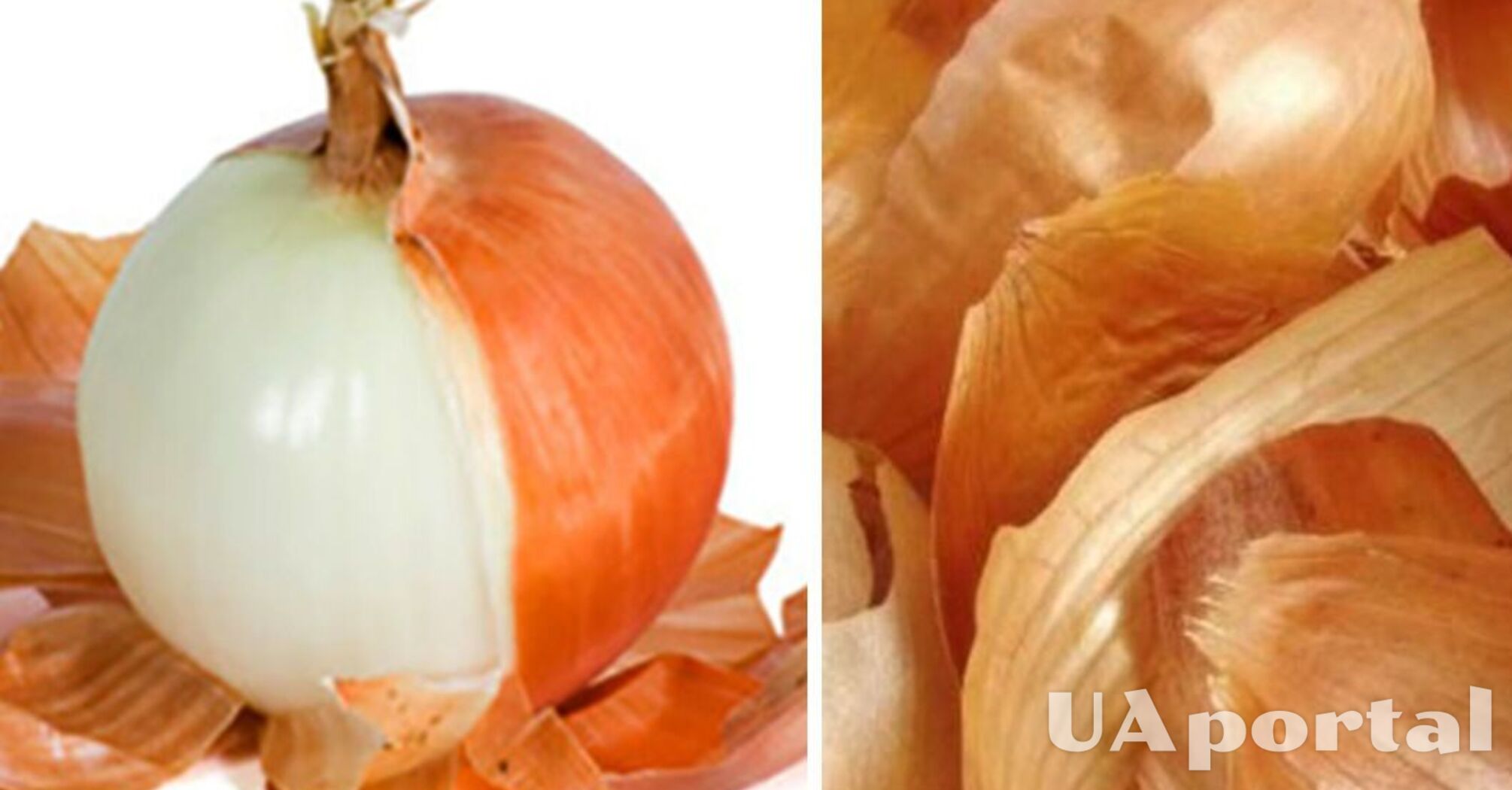 Improves digestion and supports intestinal health: why you should eat onion husk regularly