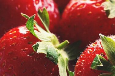 Понимание преимуществ и недостатков