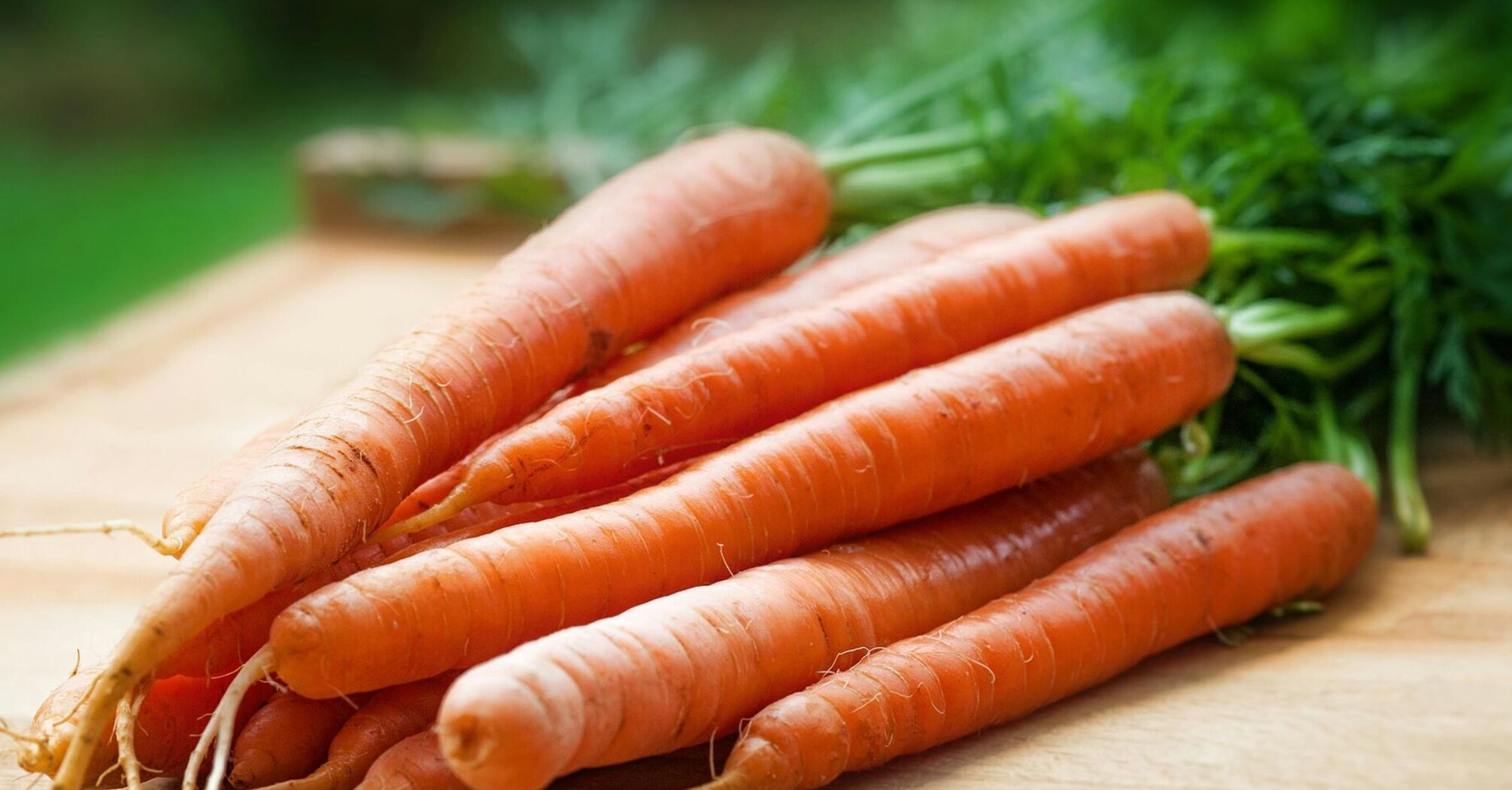Як посіяти моркву щоб потім не проріджувати
