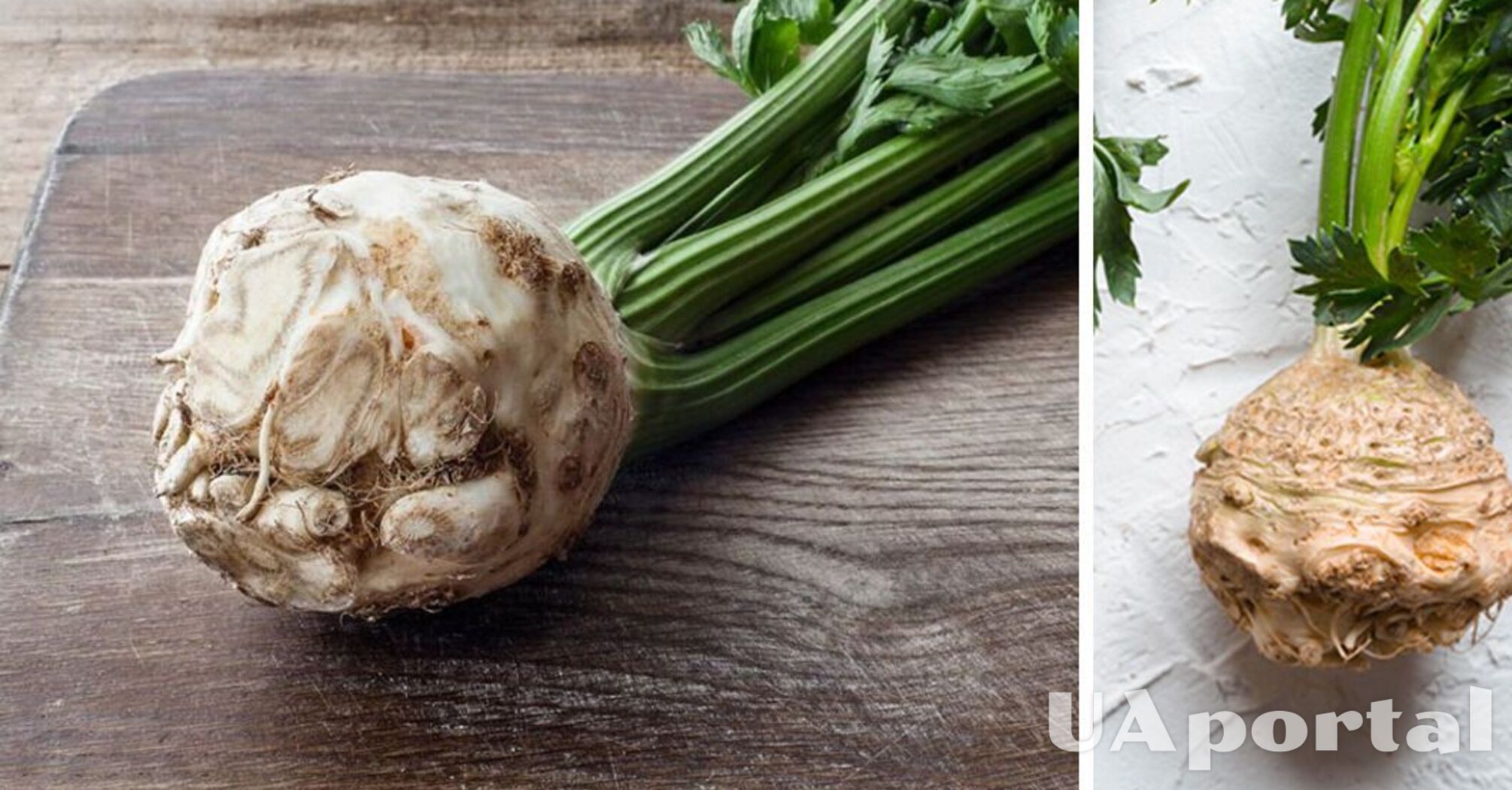 Can you eat celery root regularly