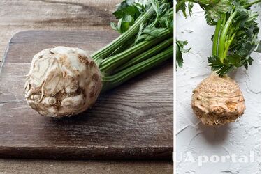 Can you eat celery root regularly